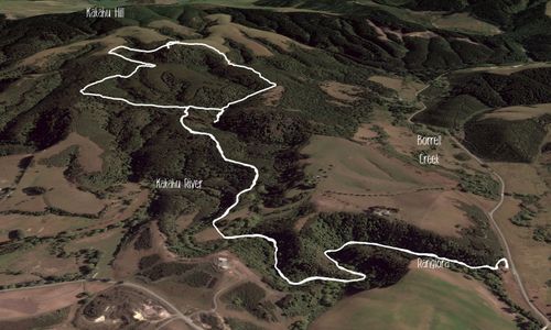 Kakahu Bush Reserve