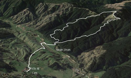 Battle Hill - Puketiro Loop