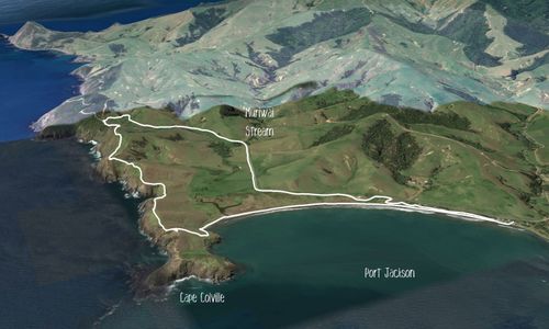 Port Jackson - Wharekaiatua Pa