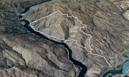 Cromwell Gorge and Cairnmuir Loop