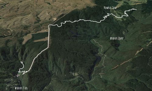Waipori Falls Government Track