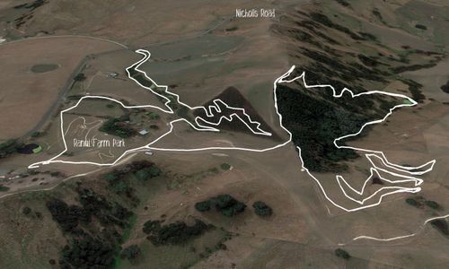 Ranui Farm Trails