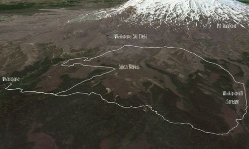 Whakapapaiti Loop