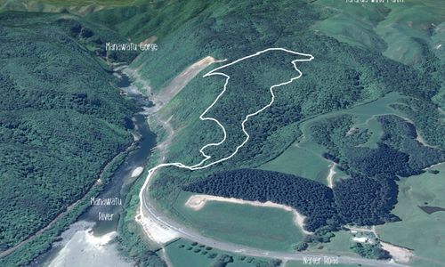 Tawa Loop - Manawatu Gorge