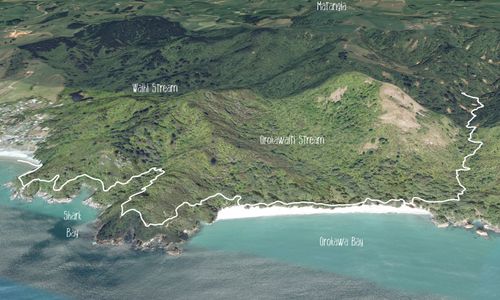 Orokawa Bay & William Wright Falls