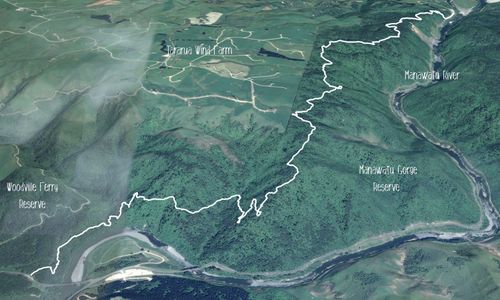 Manawatu Gorge Track