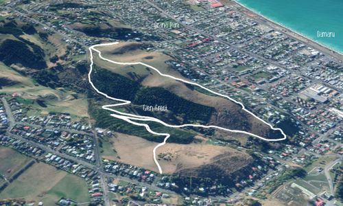 Glen Eden Reserve Loop