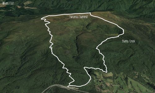 Leith Saddle and Burns Track loop