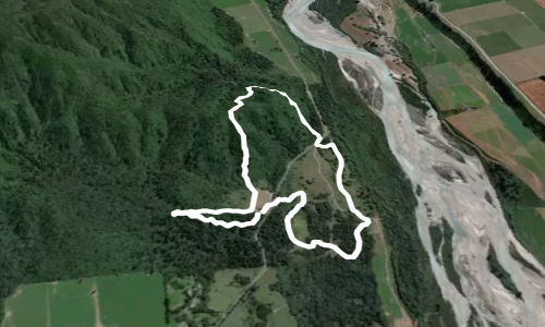 Peel Forest Rounds