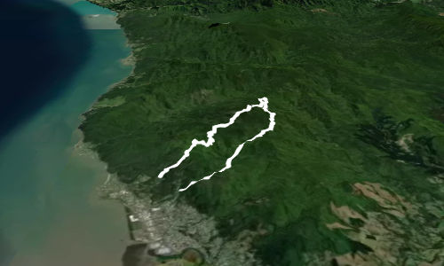 Waiotahi Karaka Trail