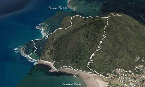 Pauanui Summit Loop