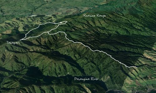 Rad Ruahine Ramble