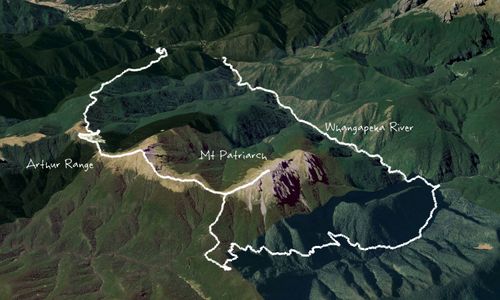 Mt. Patriarch (Tasman)