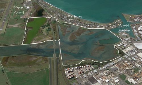 Westshore Conservation Loop