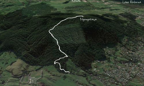 Mount Ngongotaha 
