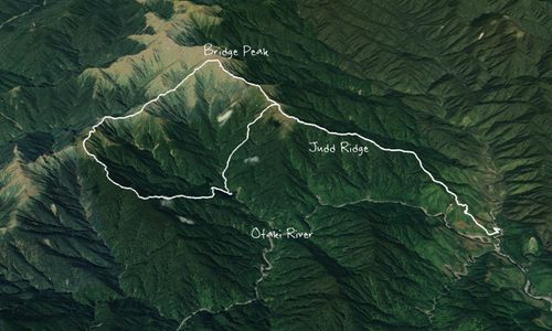 Pakihore Ridge Loop