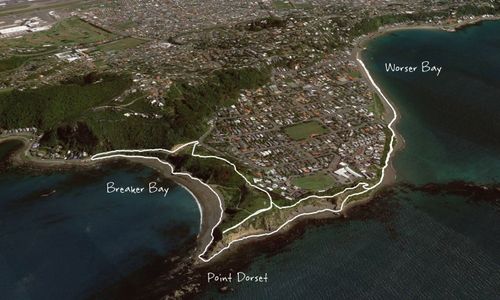 Oruaiti Reserve