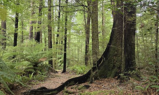 Trig K Clockwise, Marlborough
