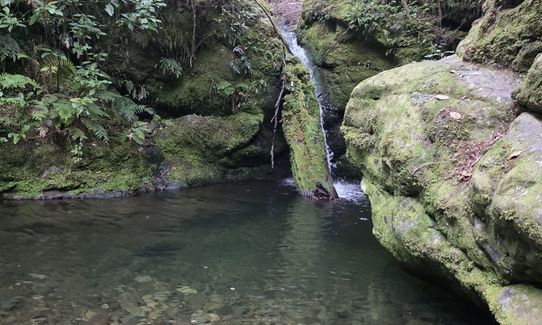 Trig K Clockwise, Marlborough