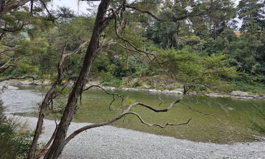 Trig K Clockwise, Marlborough