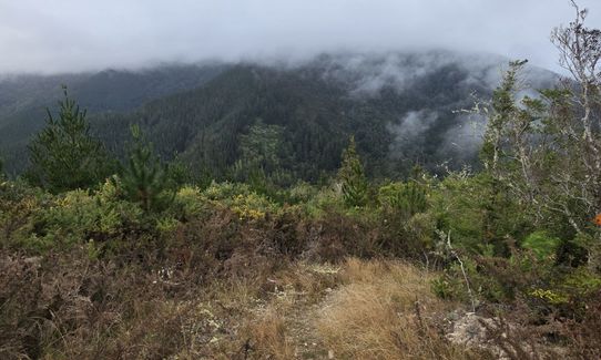 Trig K Clockwise, Marlborough
