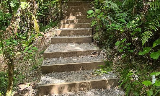 Waihi Beach Trig and Forest Loop, Bay of Plenty
