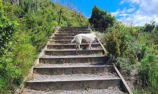 Waihi Beach Trig and Forest Loop, Bay of Plenty