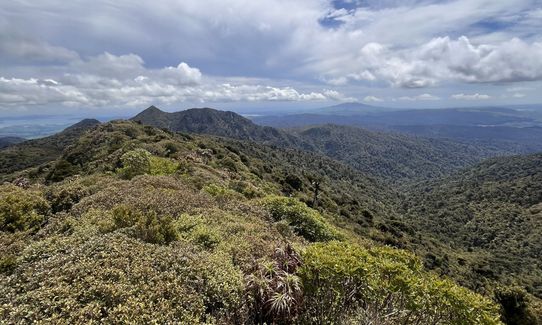 Tuhuanui half (ish), Waikato