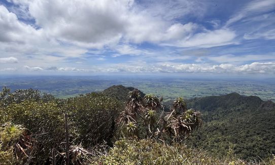 Tuhuanui half (ish), Waikato