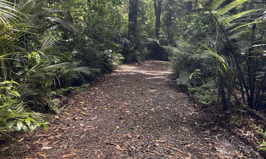 Tuhuanui half (ish), Waikato