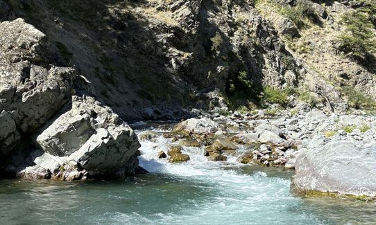 Two Thumb Track, Rangitata to Round Hill Ski-field., Canterbury