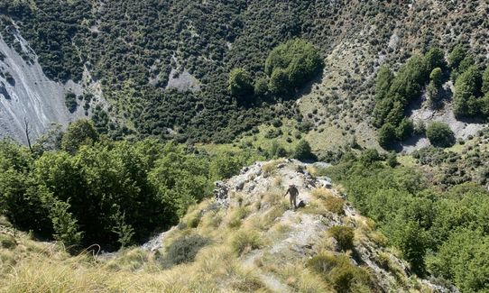 Two Thumb Track, Rangitata to Round Hill Ski-field., Canterbury