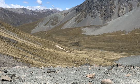 Two Thumb Track, Rangitata to Round Hill Ski-field., Canterbury