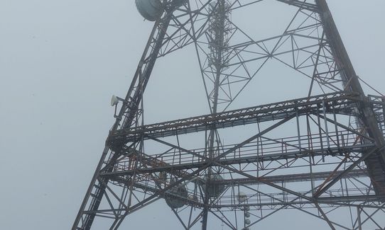 Up the Love, Waikato