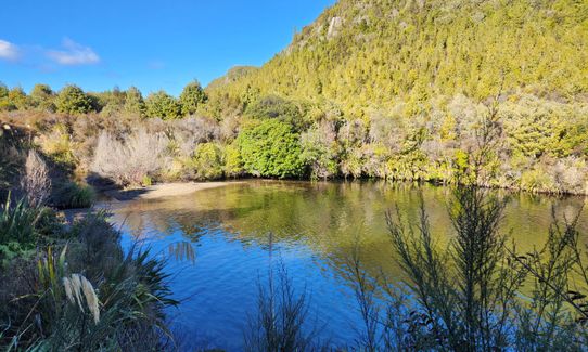 Waihāhā Hut Return, Waikato