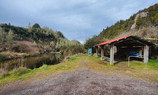 Waihaha Trail - Out & Back, Waikato