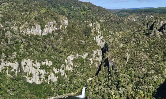Waihaha Trail - Out & Back, Waikato