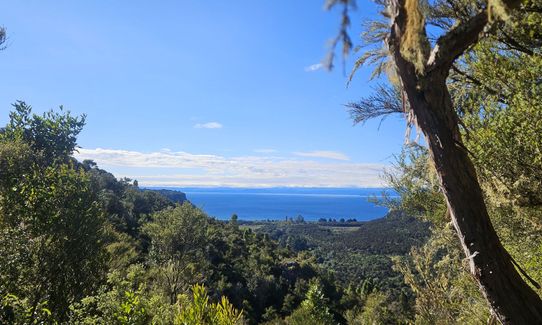 Waihaha Trail - Out & Back, Waikato