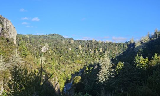Waihaha Trail - Out & Back, Waikato