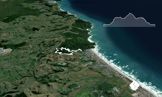 Waihi Beach Trig and Forest Loop, Bay of Plenty
