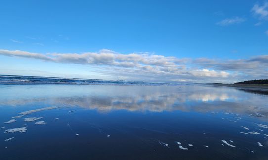 Waikuku Beach and Estuary Loop, Canterbury
