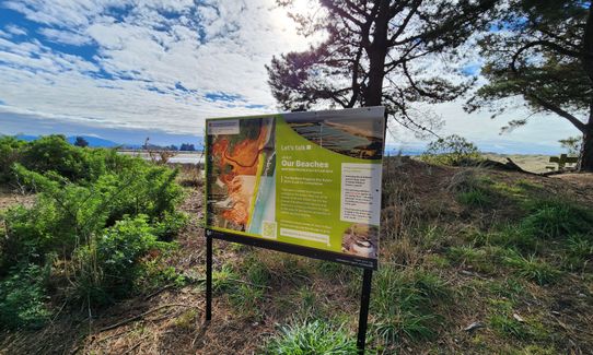 Waikuku Beach and Estuary Loop, Canterbury