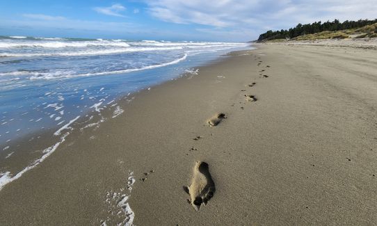 Waikuku Beach and Estuary Loop, Canterbury