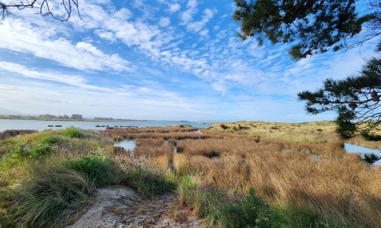 Waikuku Beach and Estuary Loop, Canterbury