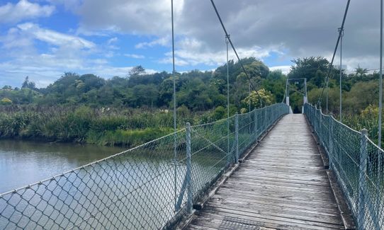 Waimapu Estuary Loop, Bay of Plenty