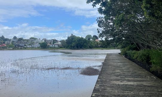 Waimapu Estuary Loop, Bay of Plenty