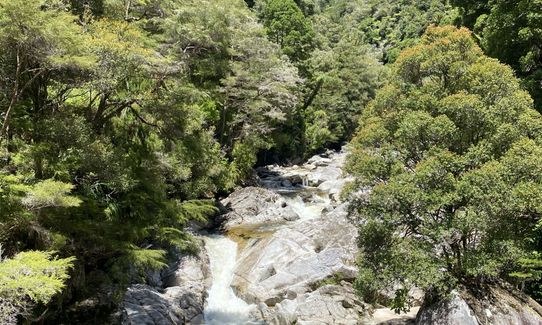 Wainui Falls goddess, Tasman