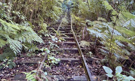 Waiorongomai Valley Adventures, Waikato