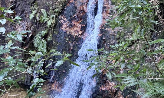 Waiorongomai Valley Adventures, Waikato