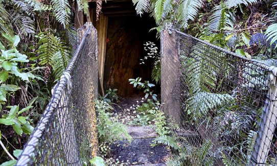 Waiorongomai Valley Adventures, Waikato